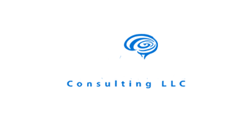 BRAYN Consulting LLC